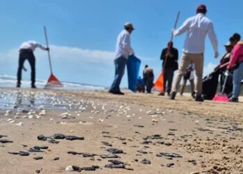 Refuerzan limpieza en Playa La Pesca y Tepehuajes por presencia de residuos