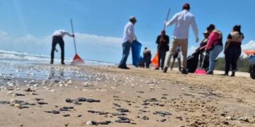 Refuerzan limpieza en Playa La Pesca y Tepehuajes por presencia de residuos
