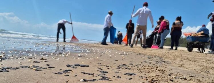 Refuerzan limpieza en Playa La Pesca y Tepehuajes por presencia de residuos