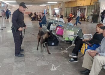 Guardia Estatal realiza operativo con binomio canino en central de autobuses de Ciudad Victoria