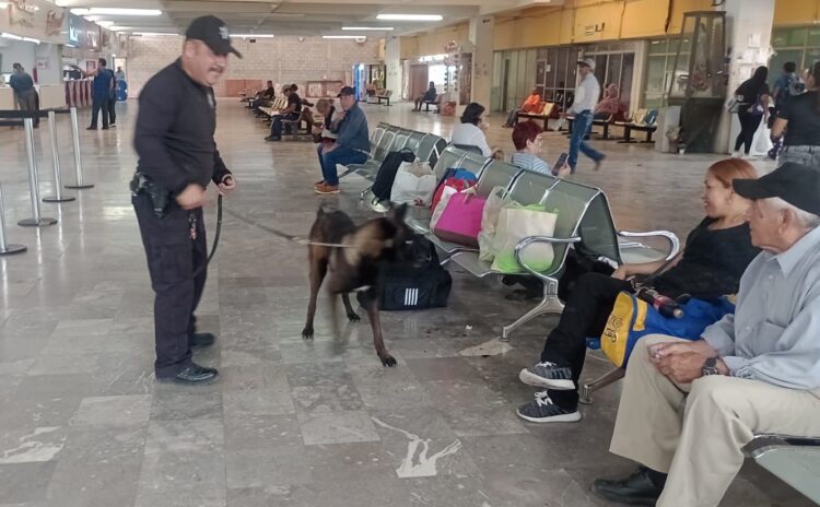 Guardia Estatal realiza operativo con binomio canino en central de autobuses de Ciudad Victoria