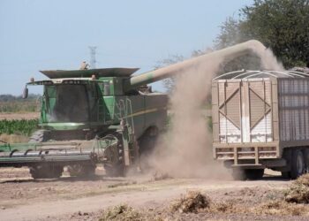 Alza del petróleo encarece fertilizantes, maquinaria y transporte del maíz, advierten productores