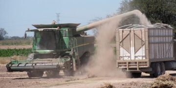 Alza del petróleo encarece fertilizantes, maquinaria y transporte del maíz, advierten productores