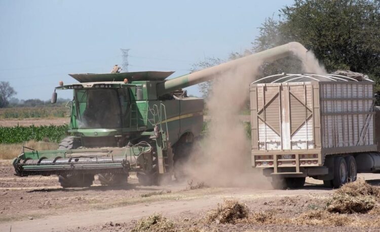 Alza del petróleo encarece fertilizantes, maquinaria y transporte del maíz, advierten productores