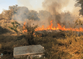 ¡Fuera de control! incendio avanza más de 500 metros en Cd.Victoria