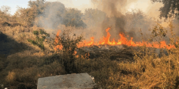 ¡Fuera de control! incendio avanza más de 500 metros en Cd.Victoria