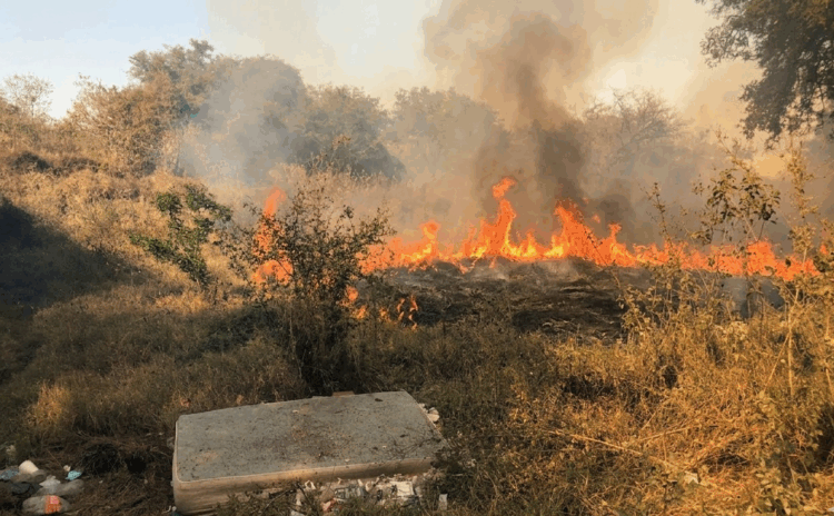 ¡Fuera de control! incendio avanza más de 500 metros en Cd.Victoria