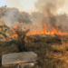 ¡Fuera de control! incendio avanza más de 500 metros en Cd.Victoria