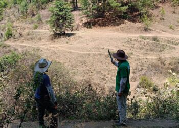 P&G y Nación Verde restauran bosques del Cutzamala para seguridad hídrica