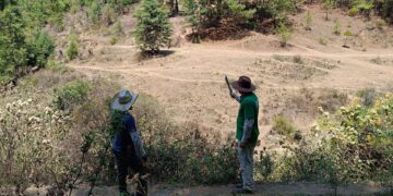 P&G y Nación Verde restauran bosques del Cutzamala para seguridad hídrica