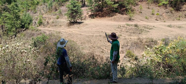 P&G y Nación Verde restauran bosques del Cutzamala para seguridad hídrica