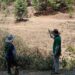 P&G y Nación Verde restauran bosques del Cutzamala para seguridad hídrica