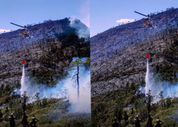 Avanza al 70 % el control del incendio forestal “Puerto del Volcán” en Miquihuana