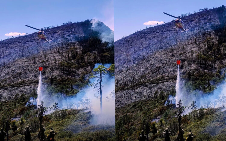 Avanza al 70 % el control del incendio forestal “Puerto del Volcán” en Miquihuana