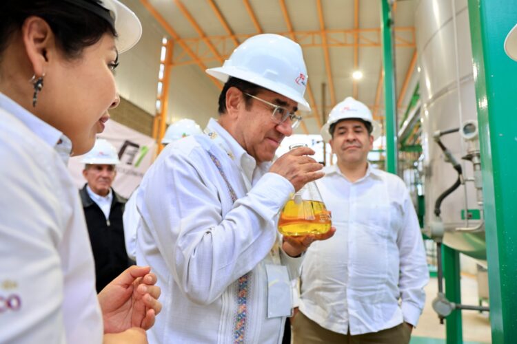 Autoridades federales de energía realizan recorrido en la planta de pirólisis de plásticos en Altamira