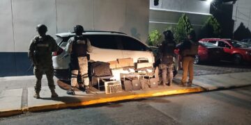 Guardia Estatal asegura armamento, municiones y drogas en Matamoros