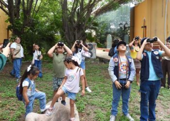 Invitan a pajareada y exposición fotográfica en el Museo TAMUX