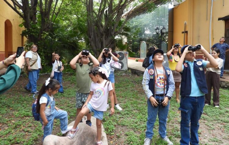 Invitan a pajareada y exposición fotográfica en el Museo TAMUX