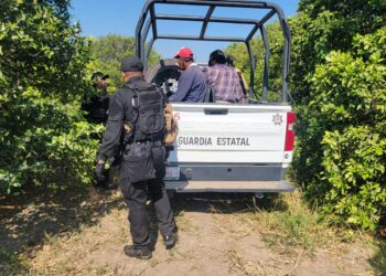 Detienen a cinco hombres por presunto robo de cítricos en Nuevo Padilla
