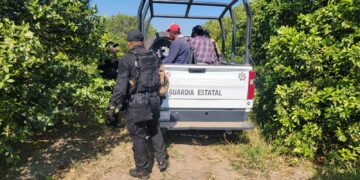 Detienen a cinco hombres por presunto robo de cítricos en Nuevo Padilla