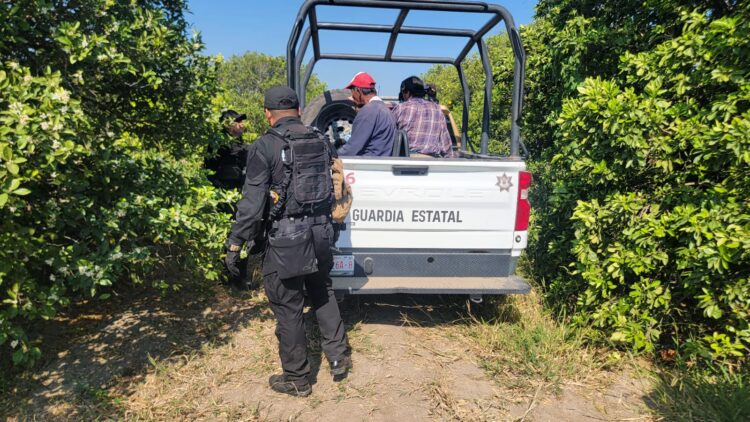 Detienen a cinco hombres por presunto robo de cítricos en Nuevo Padilla