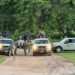 SEMAR confirma detención y liberación de hija de “El Mayo” tras enfrentamiento con 11 abatidos