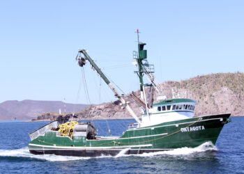 Establece Conapesca volúmenes de captura permisibles para sardina, anchoveta y macarela