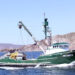 Establece Conapesca volúmenes de captura permisibles para sardina, anchoveta y macarela