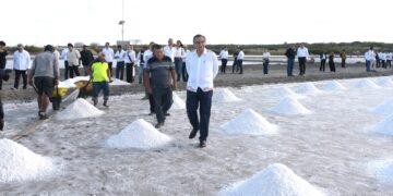 Supervisa Américo Villarreal producción de sal marina en Altamira; impulsan su crecimiento económico