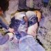 Rescatan con vida a elemento de la Guardia Estatal en San Fernando tras días de cautiverio
