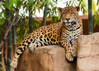 Recibe Zoológico Tamatán a familias con espacios renovados