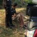 ¡Tragedia por imprudencia! menor toma moto sin permiso y termina derrapando en ciudad victoria