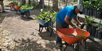 Avanza Nuevo Laredo hacia un entorno más verde y sustentable