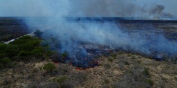 Fuego desata alarma en Jiménez: incendio de pastizal moviliza a autoridades
