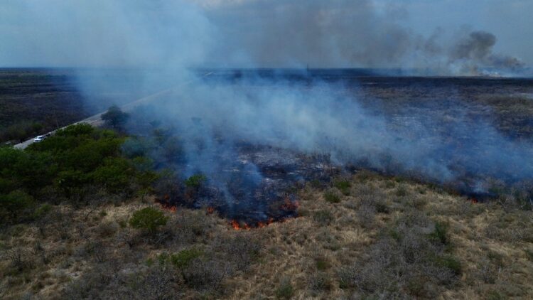 Fuego desata alarma en Jiménez: incendio de pastizal moviliza a autoridades