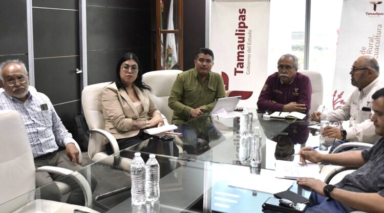Estructura Tamaulipas proyecto para elevar la producción de carne de calidad