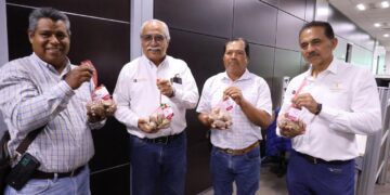 Productores tamaulipecos logran vender al 100% primera cosecha de ostión
