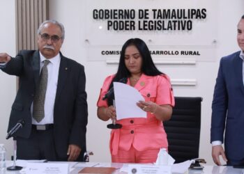 Con semillas, fertilizantes, cambio de cultivos y otros apoyos, el campo tamaulipeco se transforma