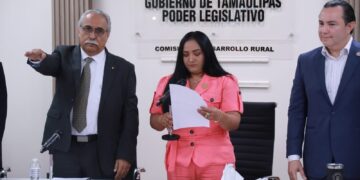 Con semillas, fertilizantes, cambio de cultivos y otros apoyos, el campo tamaulipeco se transforma