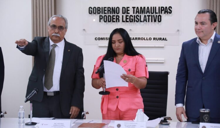 Con semillas, fertilizantes, cambio de cultivos y otros apoyos, el campo tamaulipeco se transforma