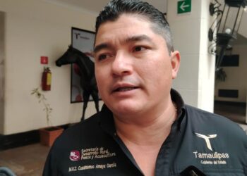 Obra fantasma en Aldama: rastro frigorífico sigue sin operar mientras crecen las promesas