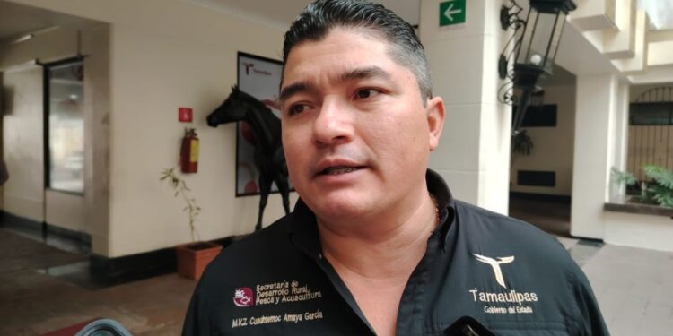 Obra fantasma en Aldama: rastro frigorífico sigue sin operar mientras crecen las promesas