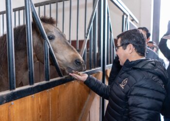 Intensificará la UAT sus acciones contra el gusano barrenador del ganado
