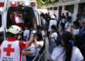 Pánico en secundaria: ataque de abejas deja 17 estudiantes lesionados y moviliza a cuerpos de emergencia
