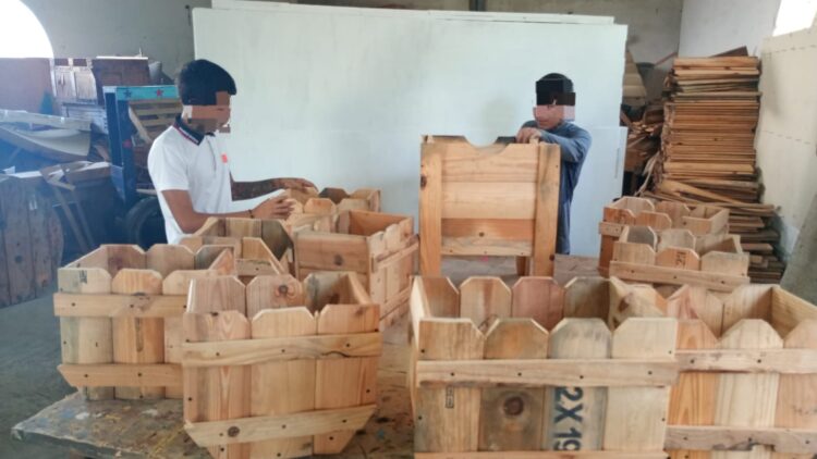 Impulsa DEMA conciencia ambiental y capacitación laboral en adolescentes