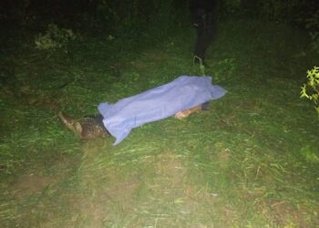 Creciente del río Troncones cobra una vida; hallan cuerpo de hombre desaparecido en Ciudad Victoria