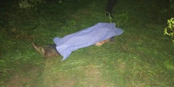 Creciente del río Troncones cobra una vida; hallan cuerpo de hombre desaparecido en Ciudad Victoria