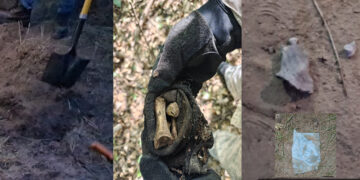 Localizan restos humanos y prendas de vestir en brecha al sur de Reynosa