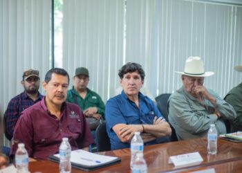 Fortalecen vigilancia fitosanitaria para contener el cancro de los cítricos