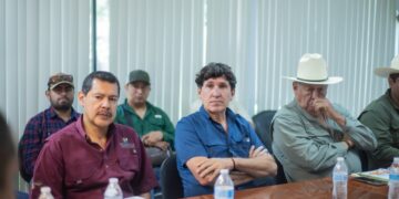 Fortalecen vigilancia fitosanitaria para contener el cancro de los cítricos